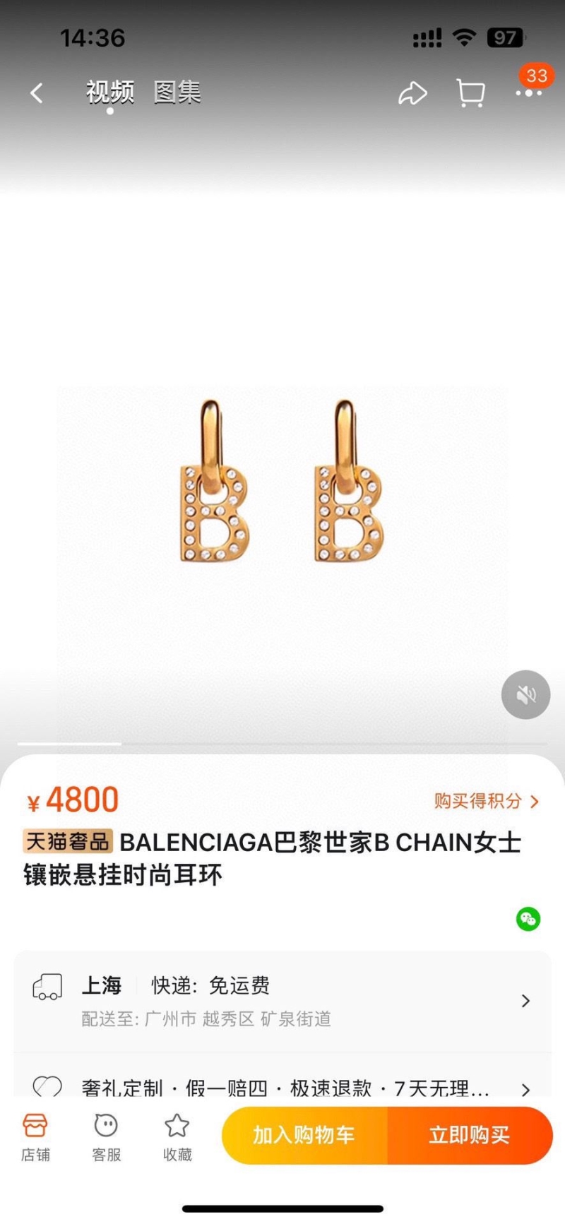 Balenciaga Earrings